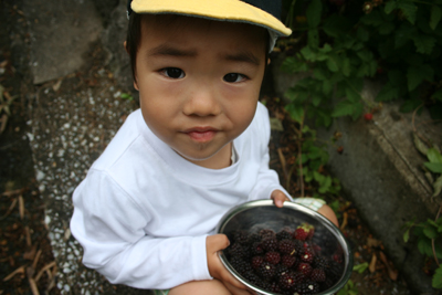 blackberry