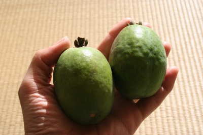 feijoa