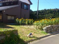 20151007-1444210451.jpg