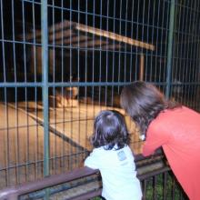 夜の動物園