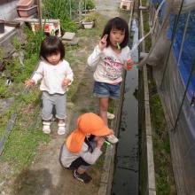 青衣とのんちゃん、あーちゃん