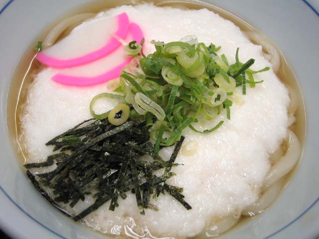 山かけうどん