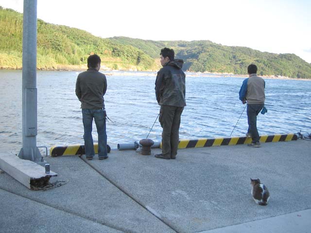 ３人と猫