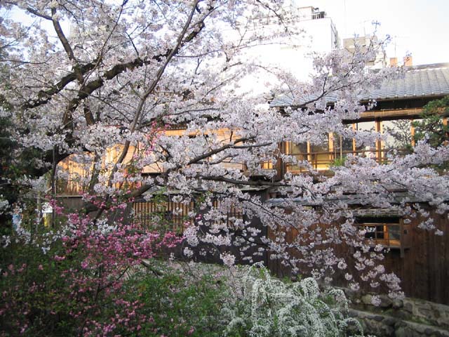 祇園白川