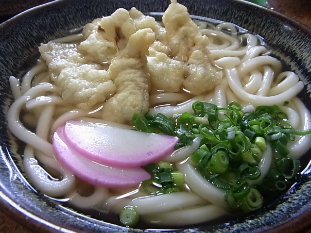 ごぼう天うどん