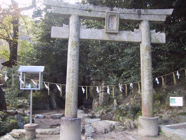 紫藤の滝