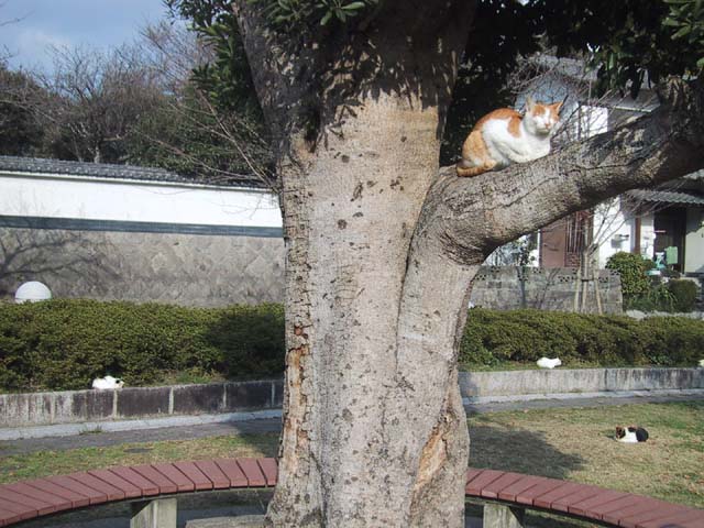 天拝山自然歴史公園