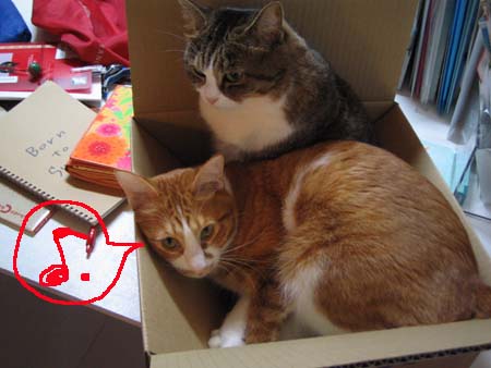 チャビ&レオ チャビ&レオ