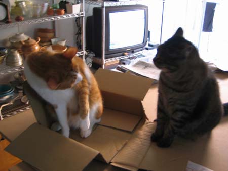 レオ&クー レオ&クー