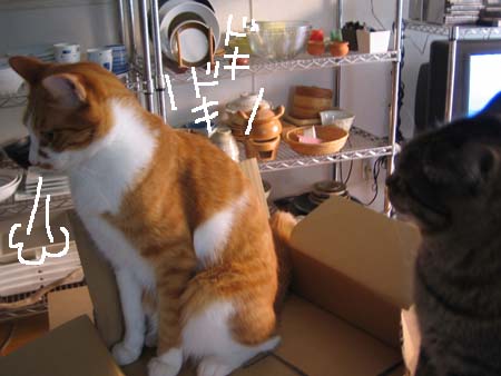 レオ&クー レオ&クー