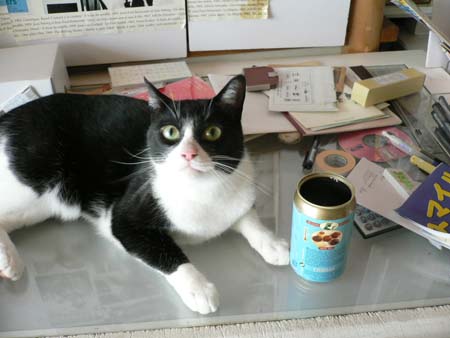 くろちび くろちび