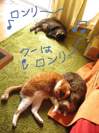 3匹 3匹