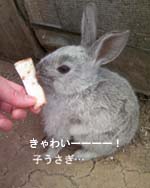 画像の説明