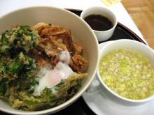 菜の花と桜海老のトロ玉天丼