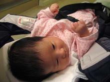 青抱っこ紐に入った青衣