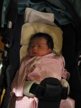 ベビーカーデビューの青衣