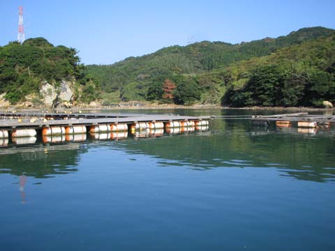 釣りセンター玄海
