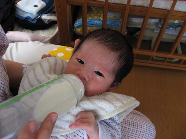 ミルクを飲む青衣