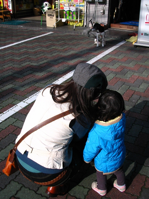 mittiと青衣
